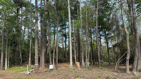 Photo of 775 Huckleberry Circle, Onalaska, TX 77360 (MLS # 16473819)