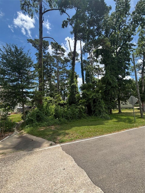 Photo of 8 Cole Brook Lane, Conroe, TX 77304 (MLS # 70511523)