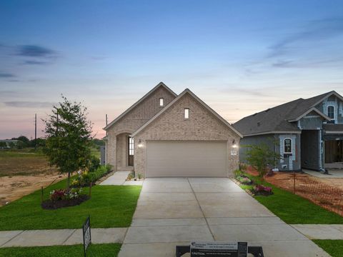 Photo of 26514 Glad Fields Drive, Hockley, TX 77447 (MLS # 30112437)