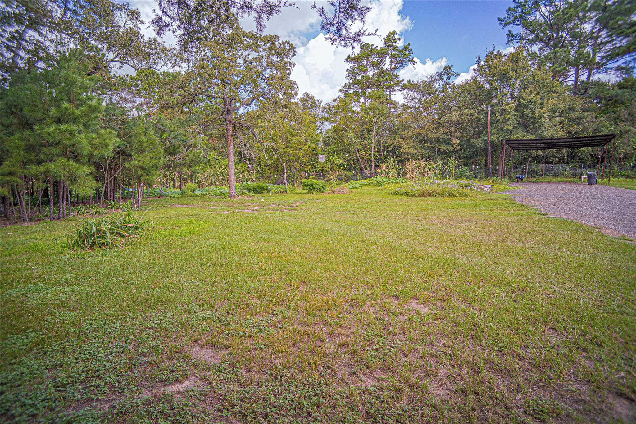 19418 Hickory Lane