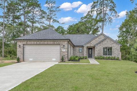 1977 La Salle Park Drive Conroe TX 77304