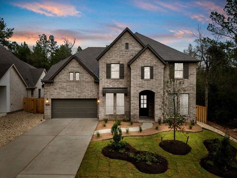Photo of 1744 Howler Way, Todd Mission, TX 77316 (MLS # 80030222)