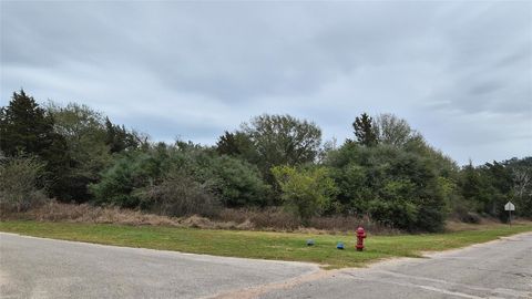 Photo of 0 Shepard, Hempstead, TX 77445 (MLS # 10105342)