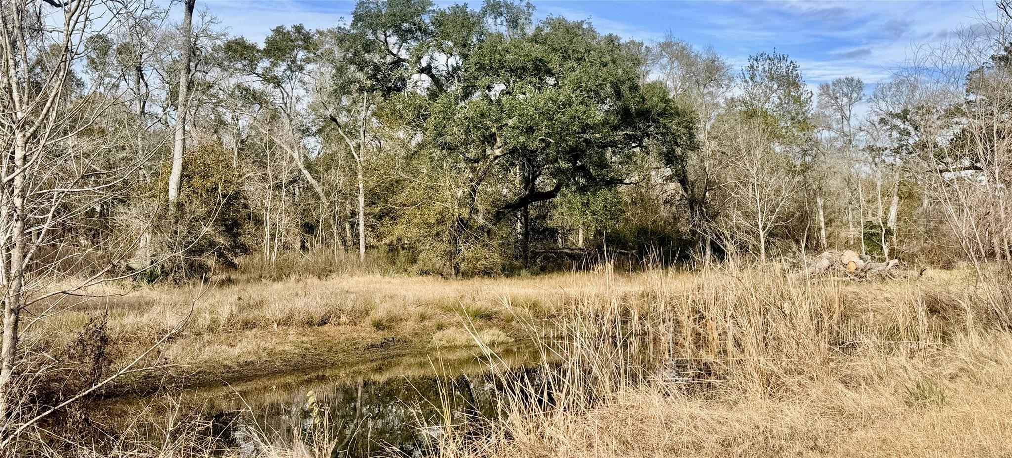6944 County Road 359
