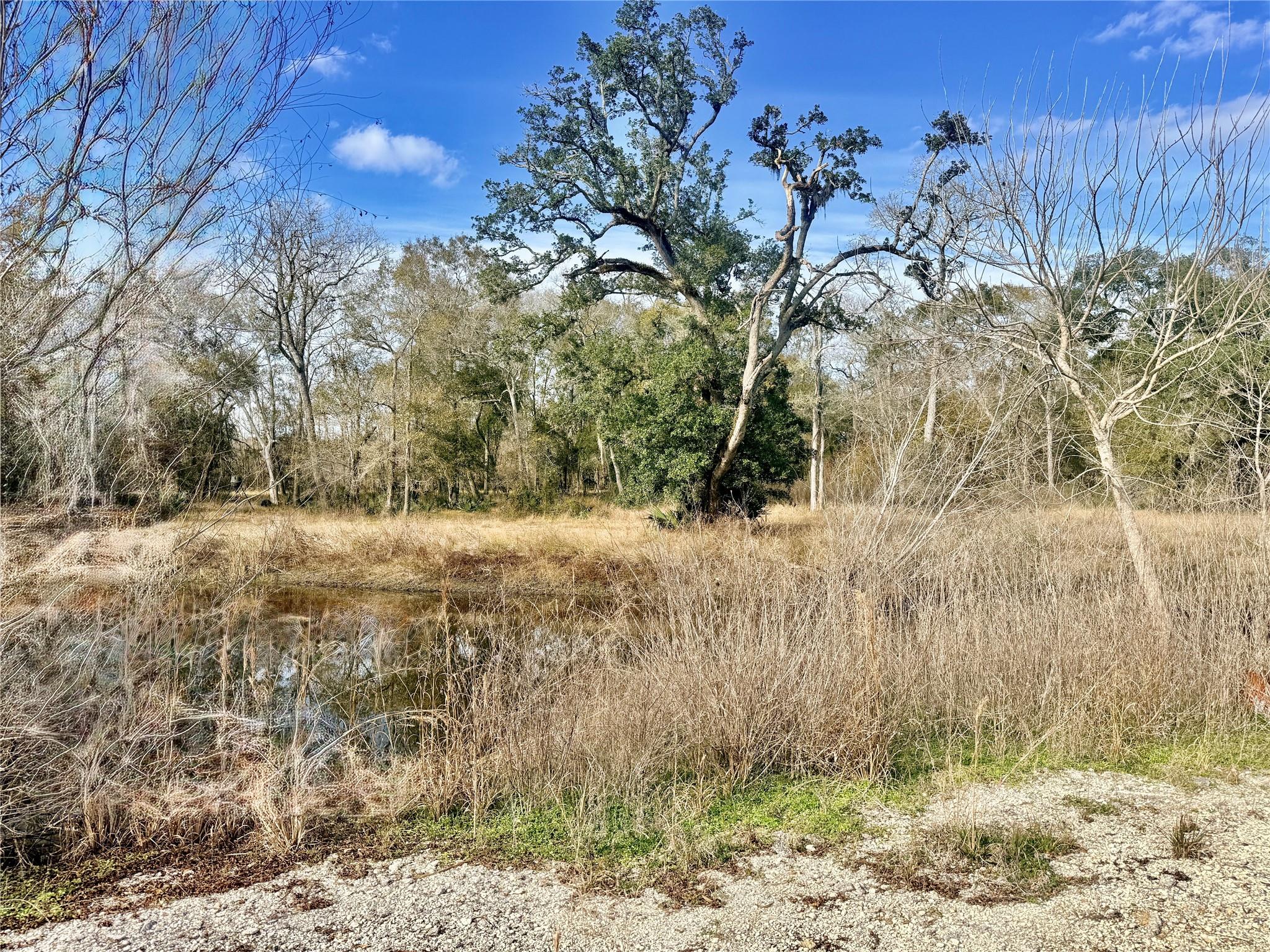 6944 County Road 359