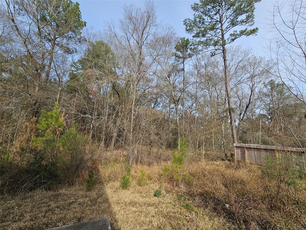 Photo of 0 Roman Forest Blvd, New Caney, TX 77357 (MLS # 82396910)