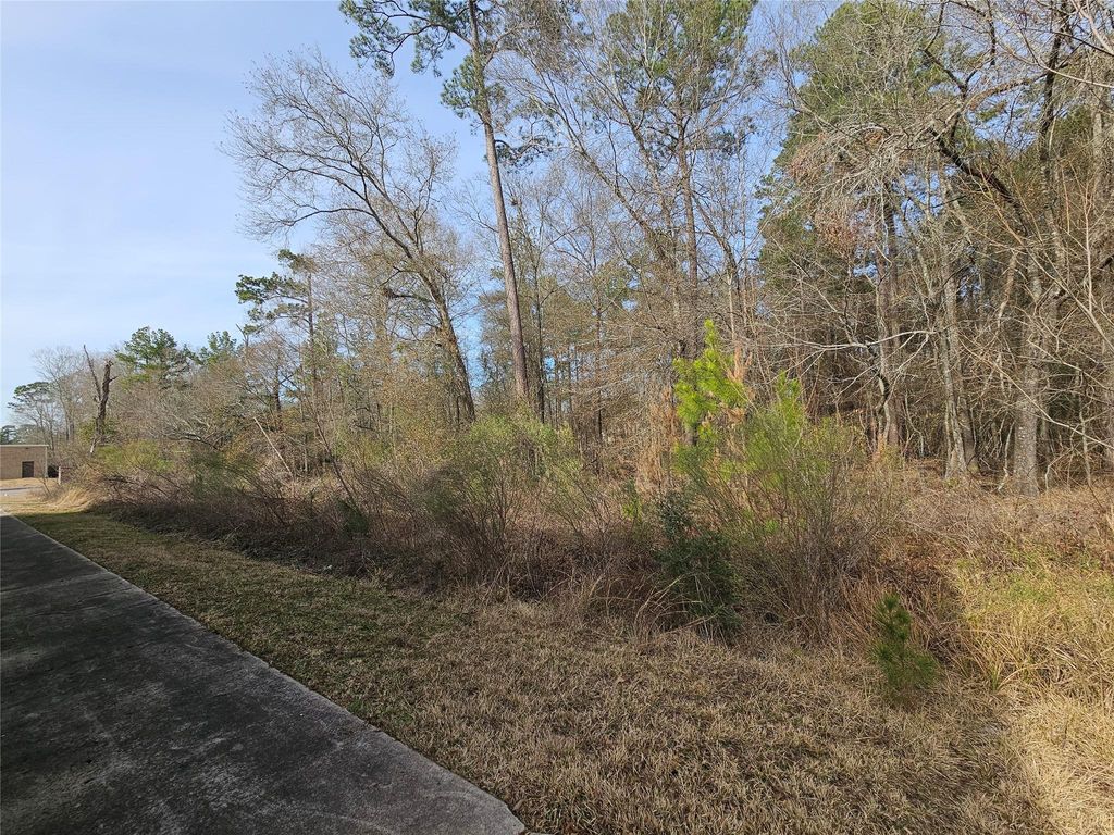 Photo of 0 Roman Forest Blvd, New Caney, TX 77357 (MLS # 82396910)