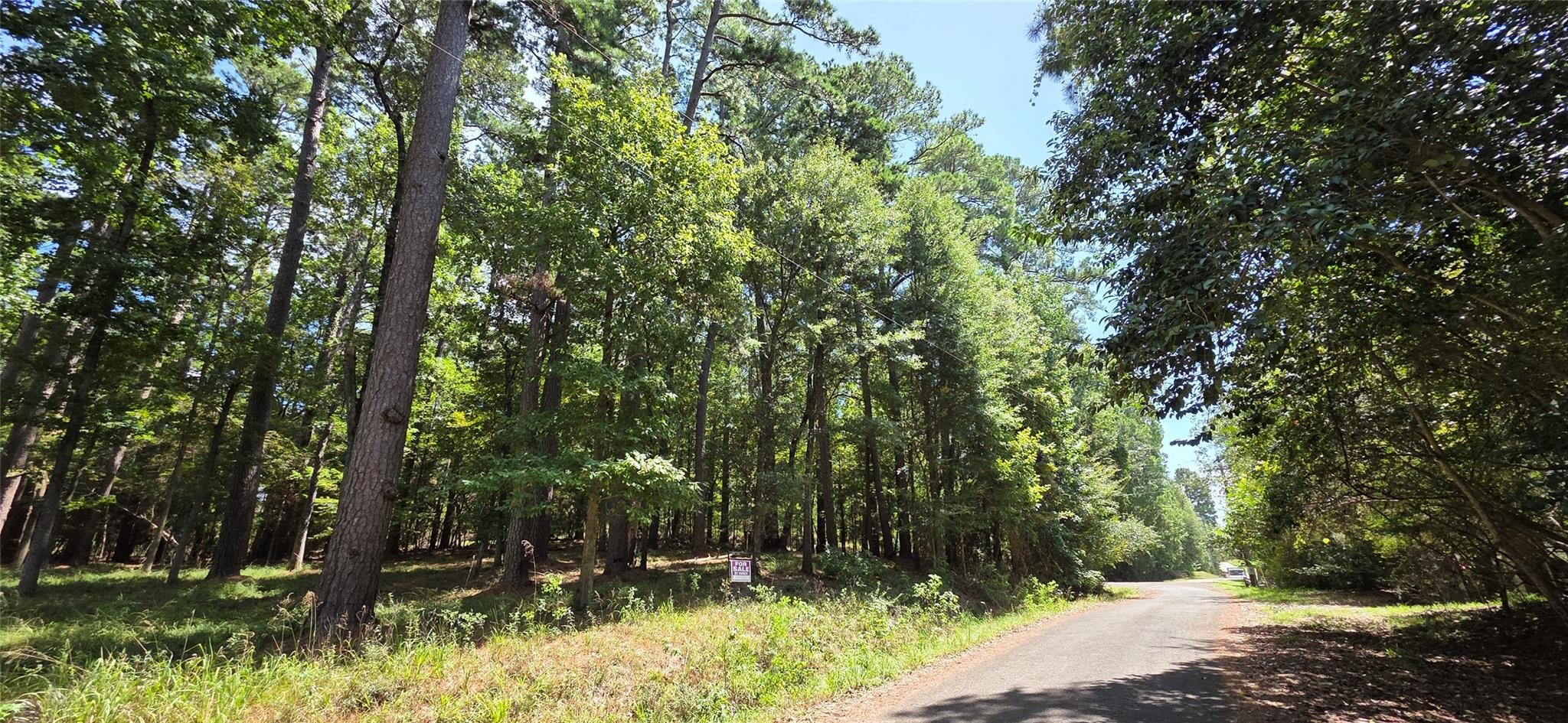 TBD Forest Hills Dr
