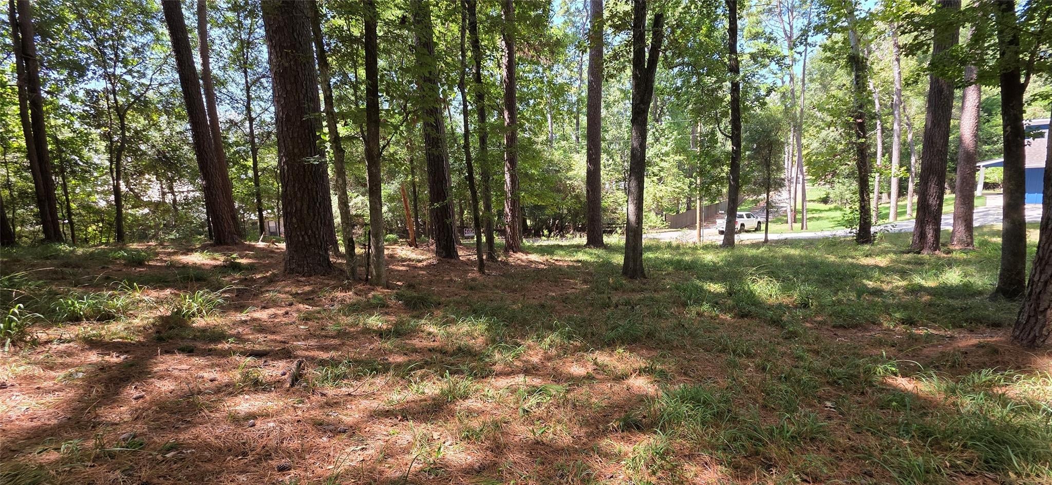 TBD Forest Hills Dr