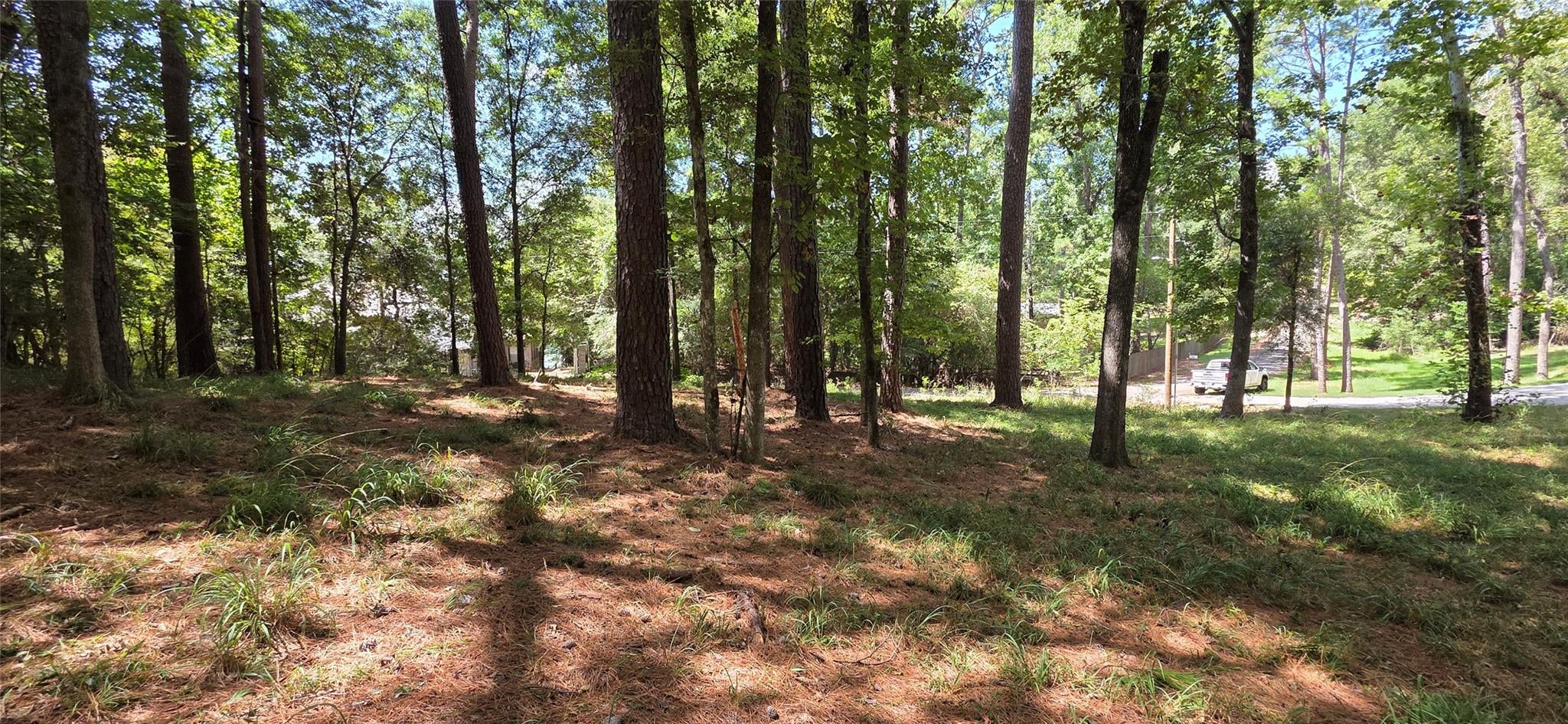 TBD Forest Hills Dr