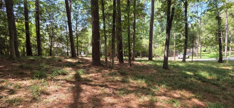 Vacant Land For Sale - TBD Forest Hills Dr<br/> Livingston, TX 77351
