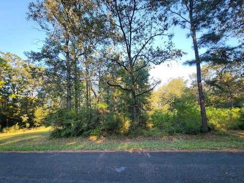 Photo of 0 Hackberry Drive, Onalaska, TX 77360 (MLS # 71890616)