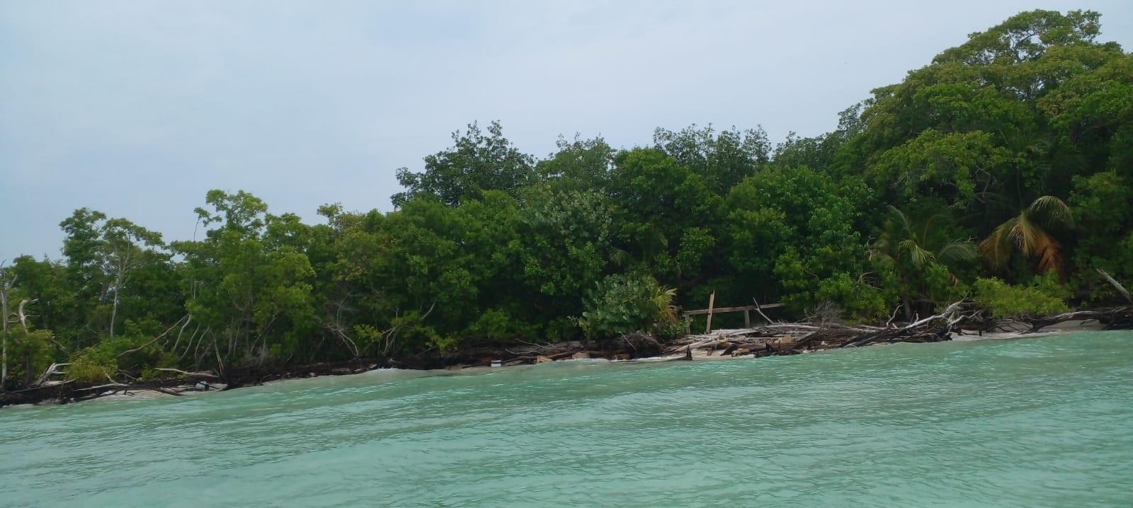 10 Acres Island South Stann Creek