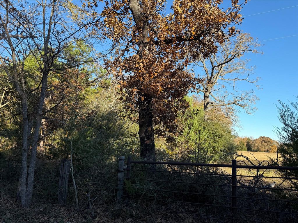 Photo of 0 County Road 2408, Montalba, TX 77853 (MLS # 77529650)