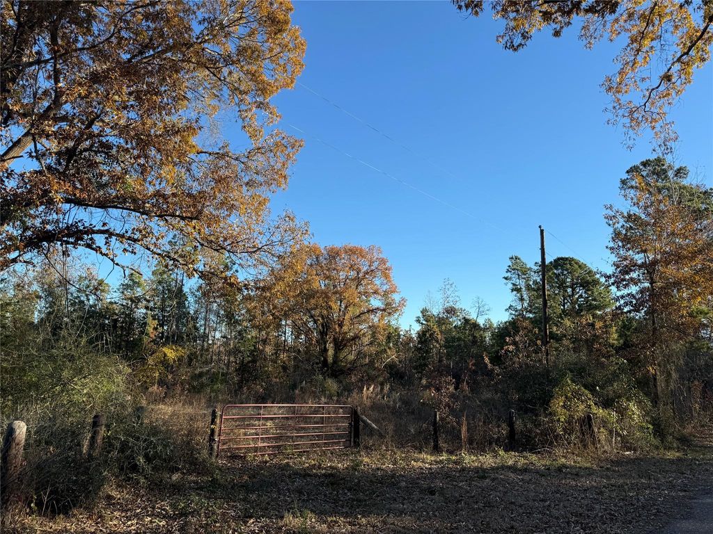 Photo of 0 County Road 2408, Montalba, TX 77853 (MLS # 77529650)