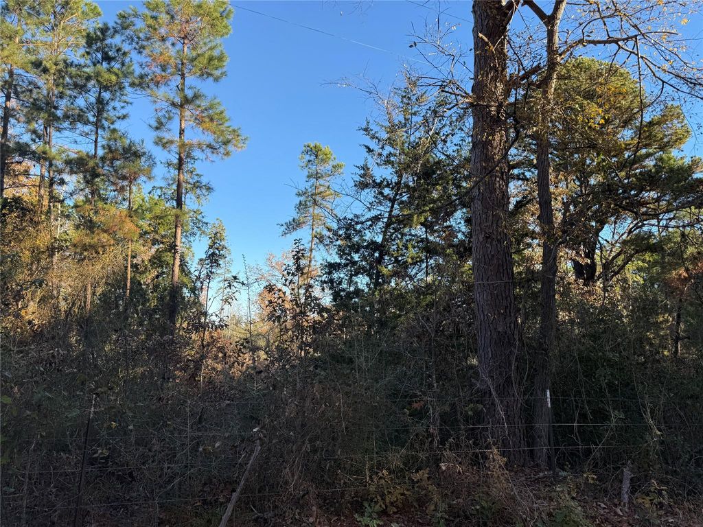 Photo of 0 County Road 2408, Montalba, TX 77853 (MLS # 77529650)