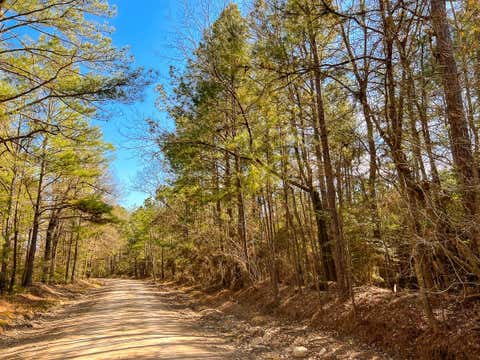 Vacant Land For Sale - 14 Union Springs Road<br/> Corrigan, TX 75939