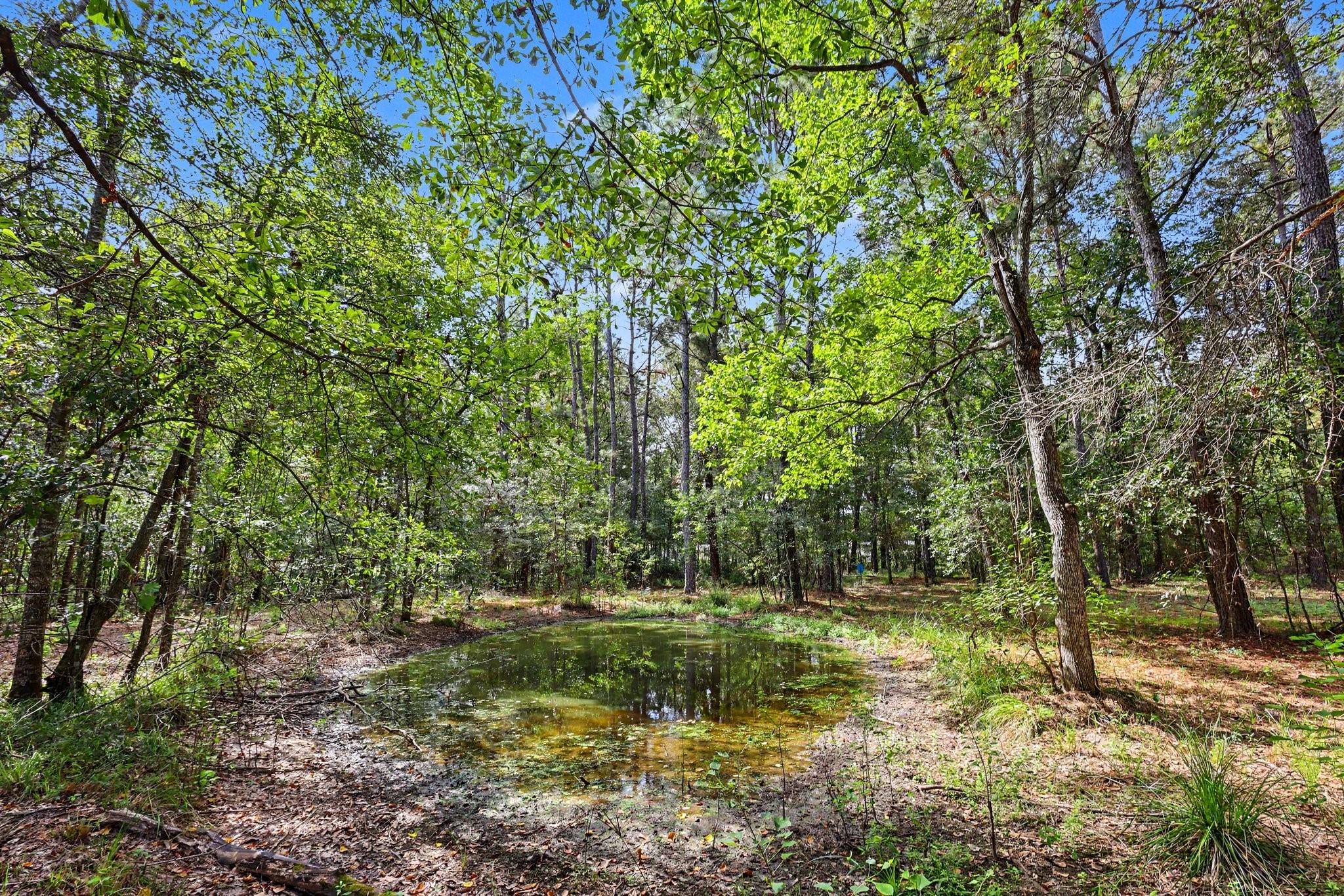 769 County Road 642