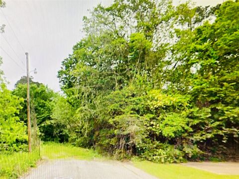 0 Harrison Street Livingston TX 77351