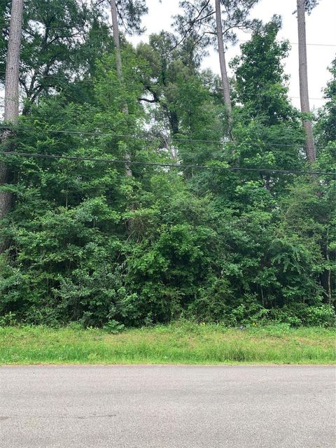 Vacant Land For Sale - 000 Birch Drive<br/> Montgomery County, Montgomery, TX 77356