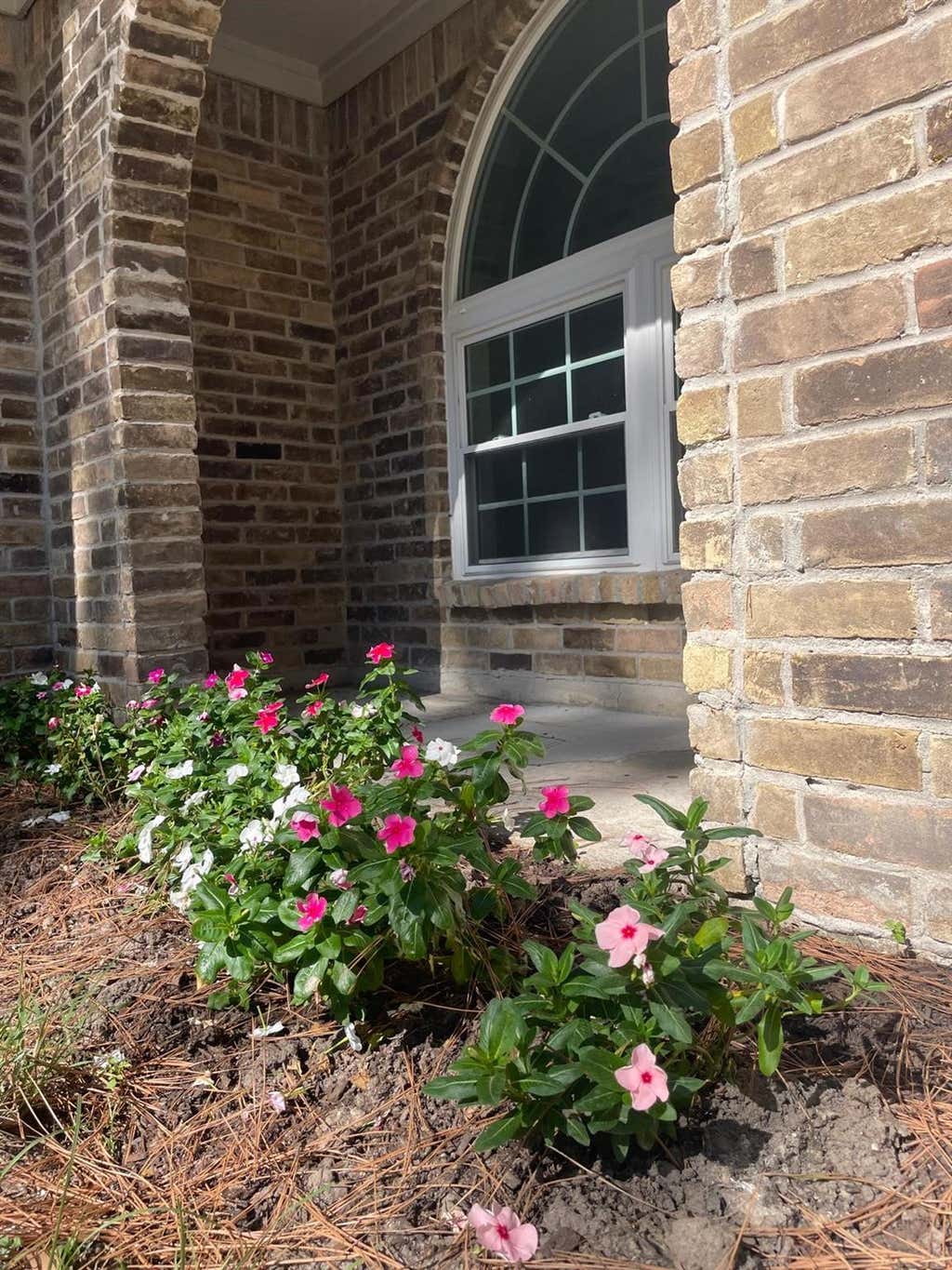 Photo of 22831 Earlmist Drive, Spring, TX 77373 (MLS # 91367535)