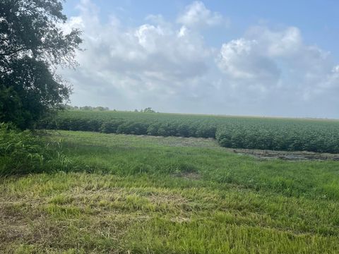 Vacant Land For Sale - 10815 Koym Road<br/> Fort Bend County, Beasley, TX 77417