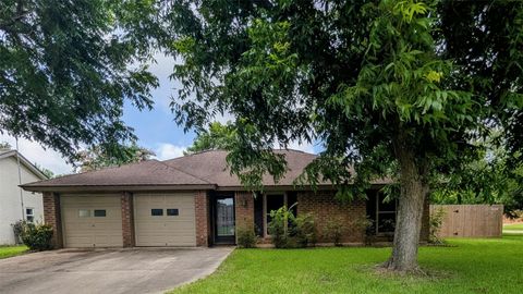 Photo of 52 Blackgum Court, Lake Jackson, TX 77566 (MLS # 36170043)