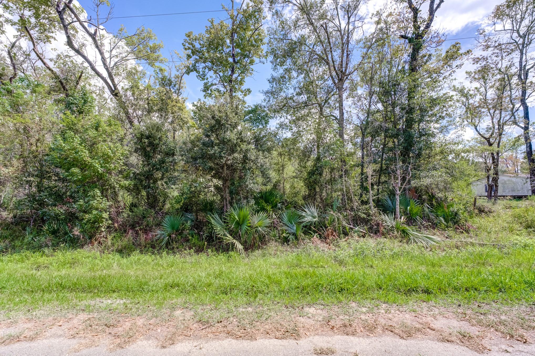 00 County Road 185