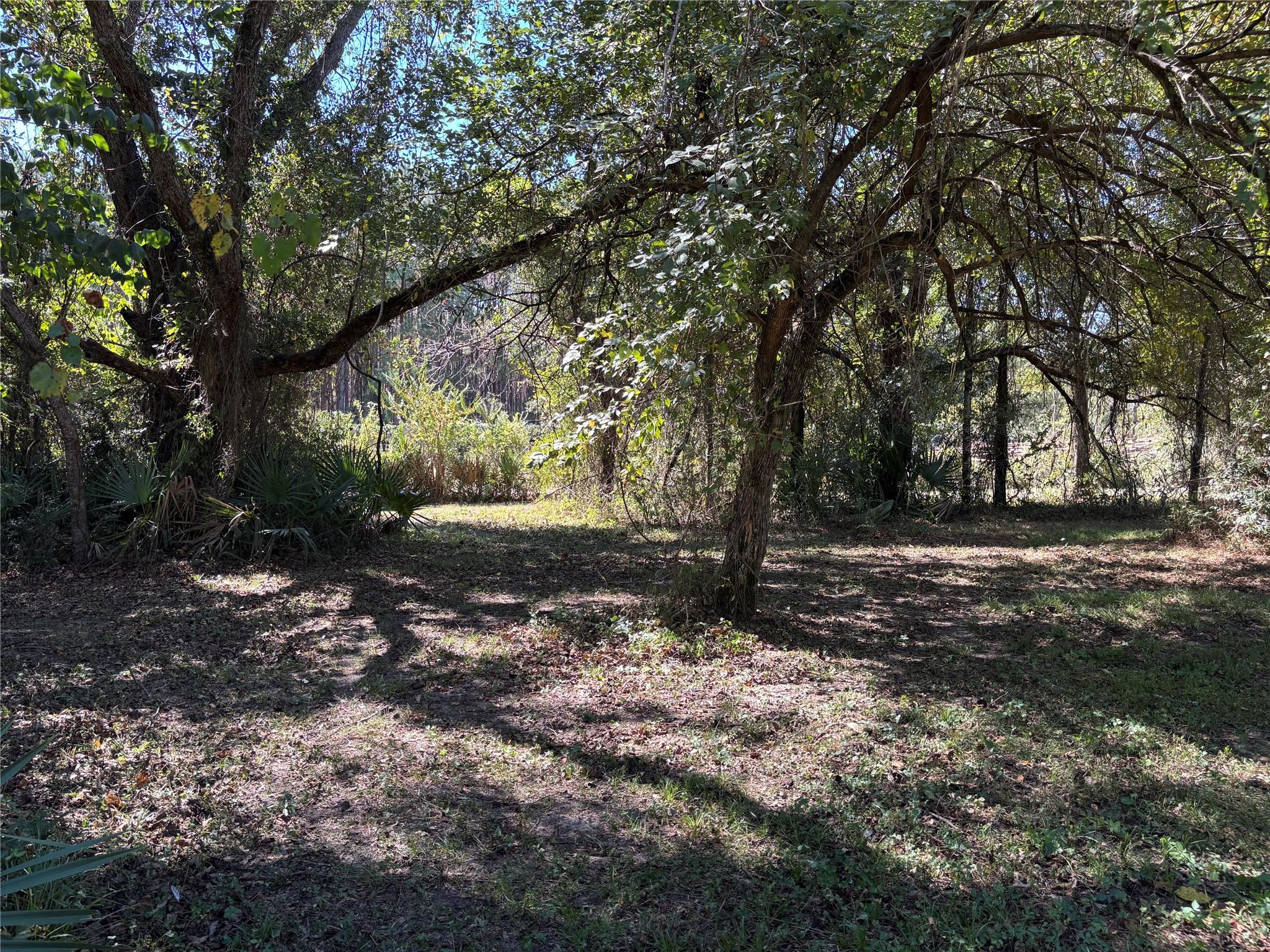 TBD Possum Walk Loop
