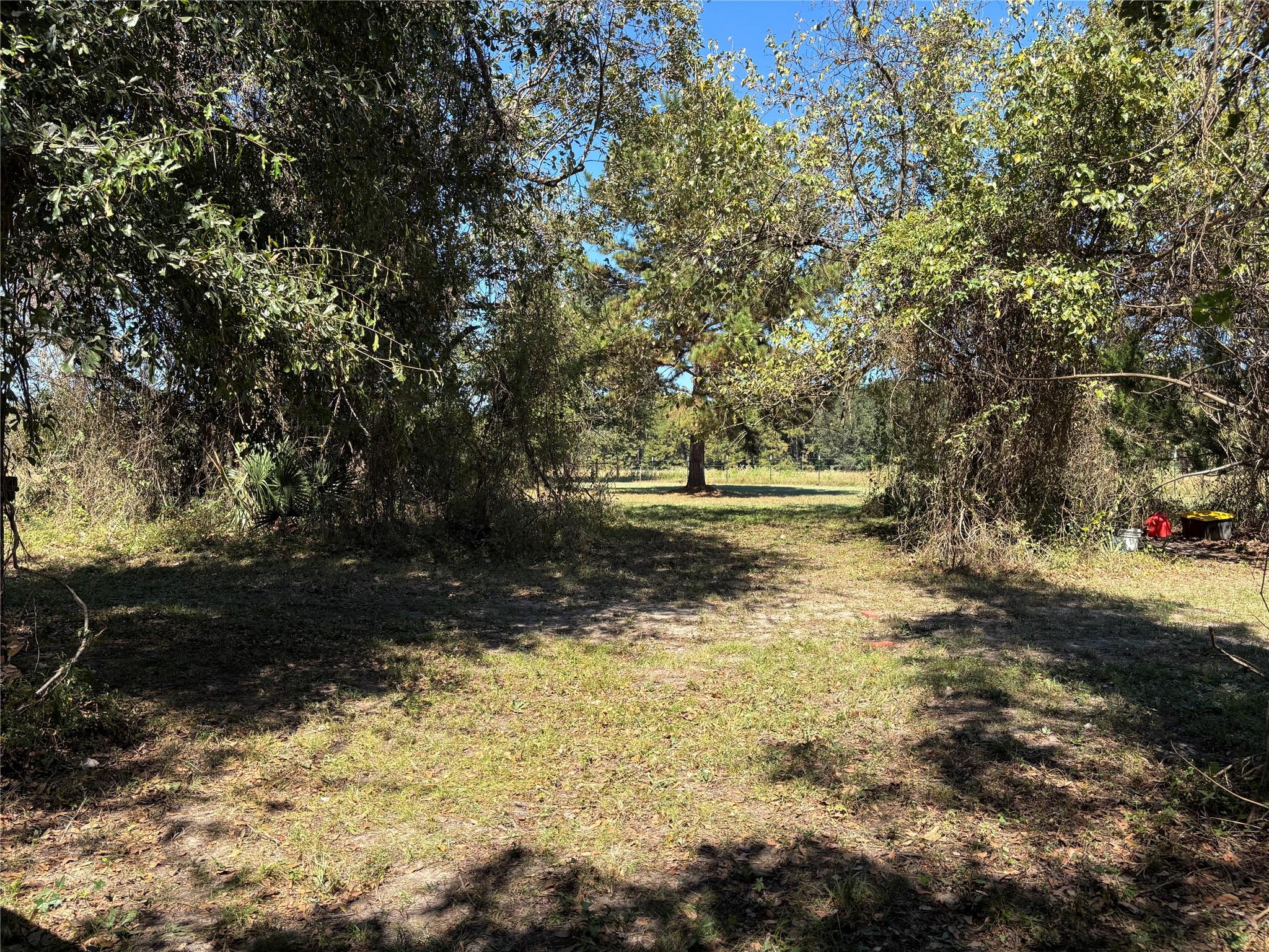 TBD Possum Walk Loop