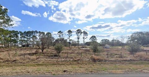 Photo of 1938 Cr-421, Rosharon, TX 77583 (MLS # 88103050) Photo of 1938 Cr-421, Rosharon, TX 77583 (MLS # 88103050)