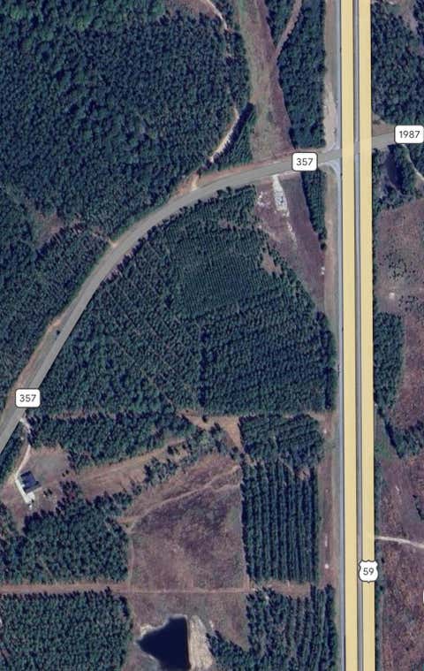 Vacant Land For Sale - Fm 357<br/> Livingston, TX 75939