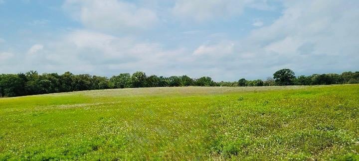 Lot 3 at County Road 312