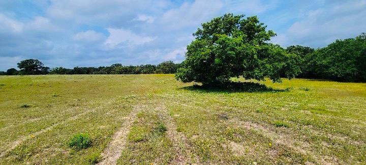 Lot 3 at County Road 312