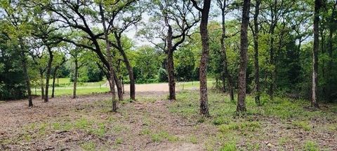 Photo of 3 County Road 312, Thrall, TX 76578 (MLS # 49399326)
