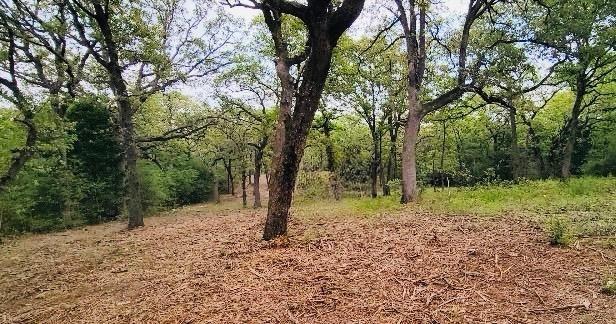 Lot 3 at County Road 312