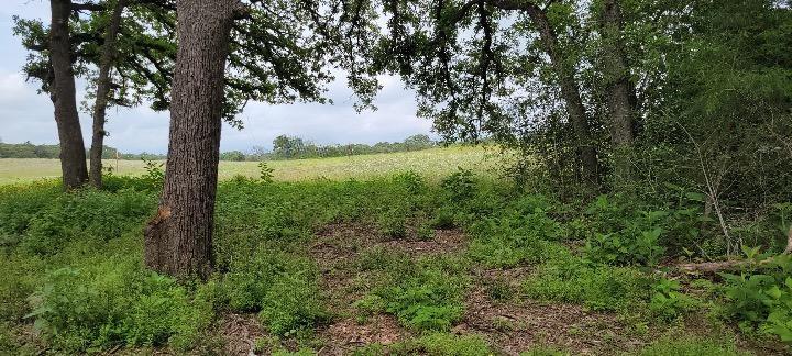 Lot 3 at County Road 312