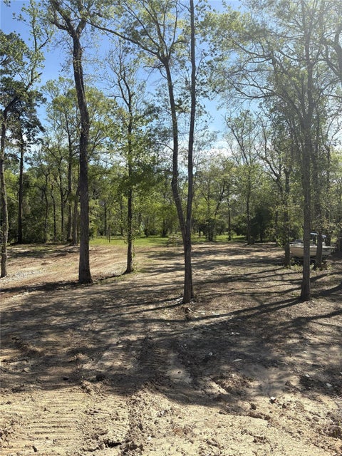 Photo of 22017 Pinebrook Drive, New Caney, TX 77357 (MLS # 96268429)