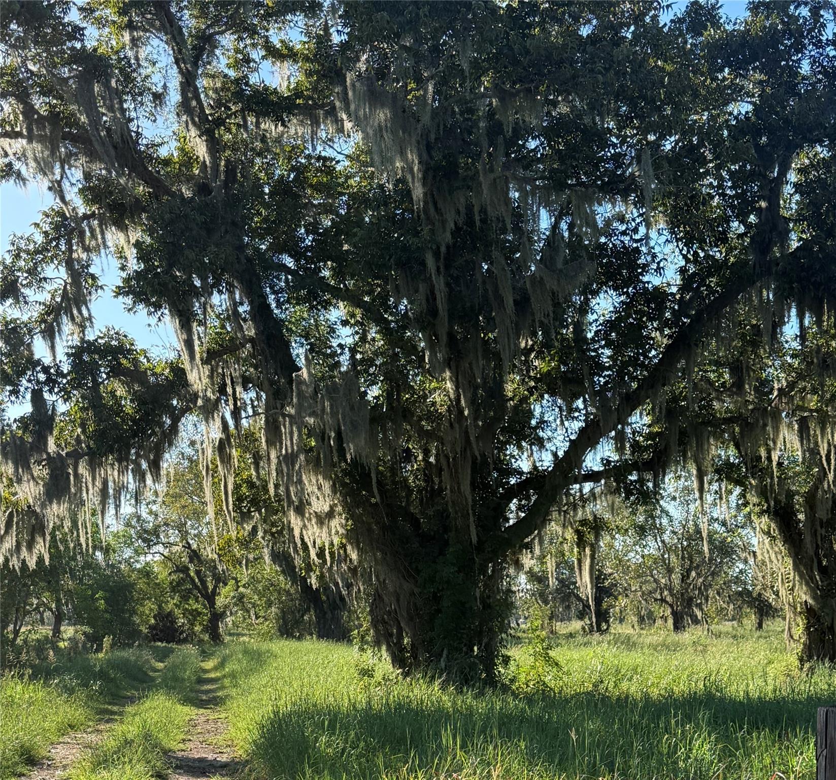 0 County Road 13