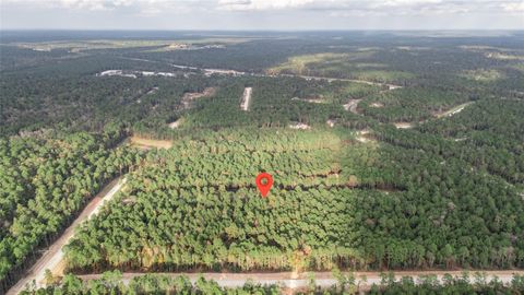 Photo of 134 Splendid Road, New Waverly, TX 77358 (MLS # 7834305)