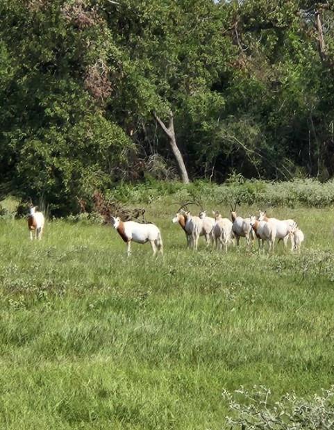 TBD Horseshoe Lake Ranch