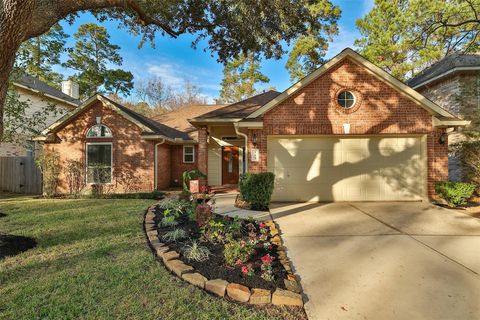 Photo of 163 N Millport Circle, The Woodlands, TX 77382 (MLS # 6311920)