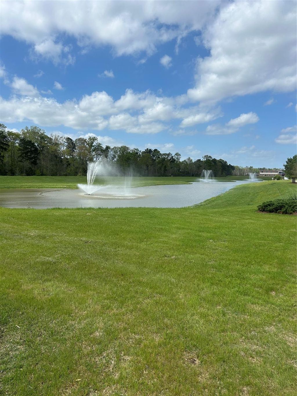 Photo of 21130 Alder Oaks Dr Dr, New Caney, TX 77357 (MLS # 86718097)