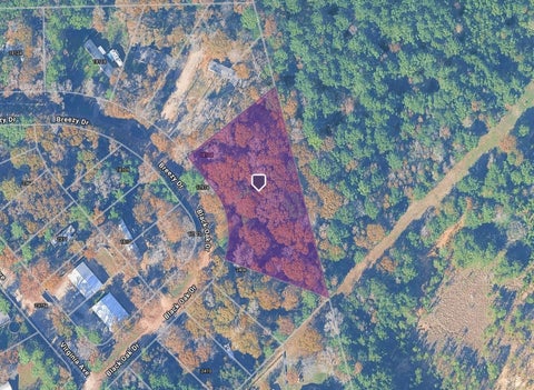 Vacant Land For Sale - 18100 Breezy Drive<br/> Montgomery, TX 77316