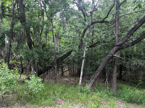 18 Timberon Lane Coldspring TX 77331