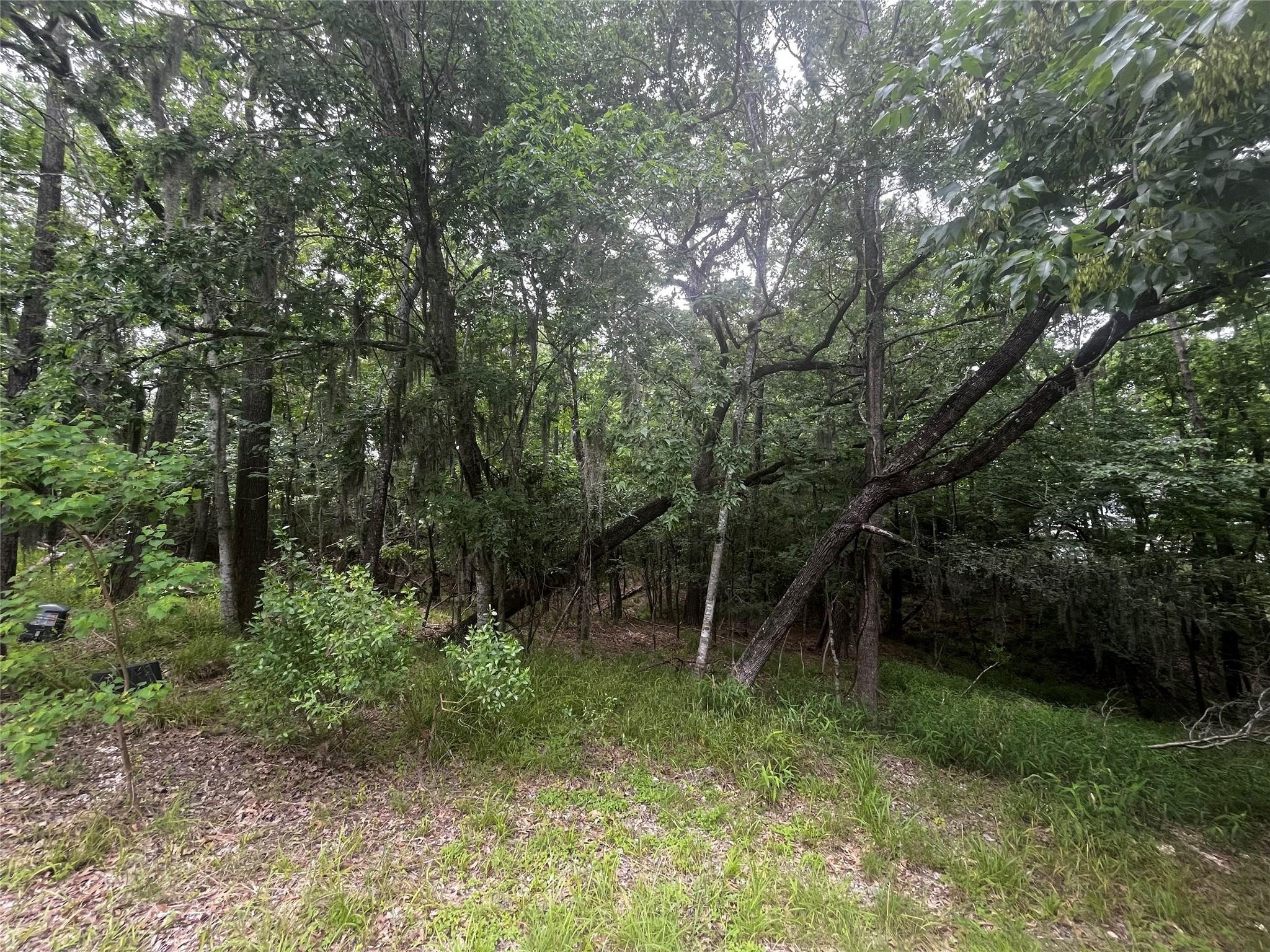 18 Timberon Lane