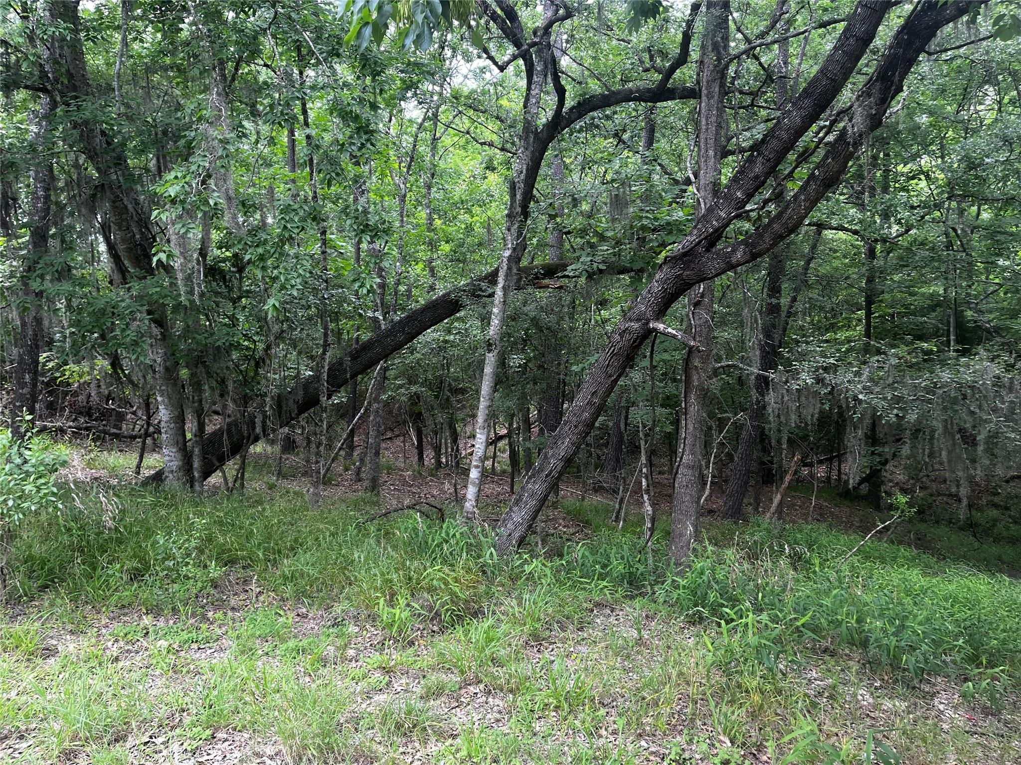 18 Timberon Lane
