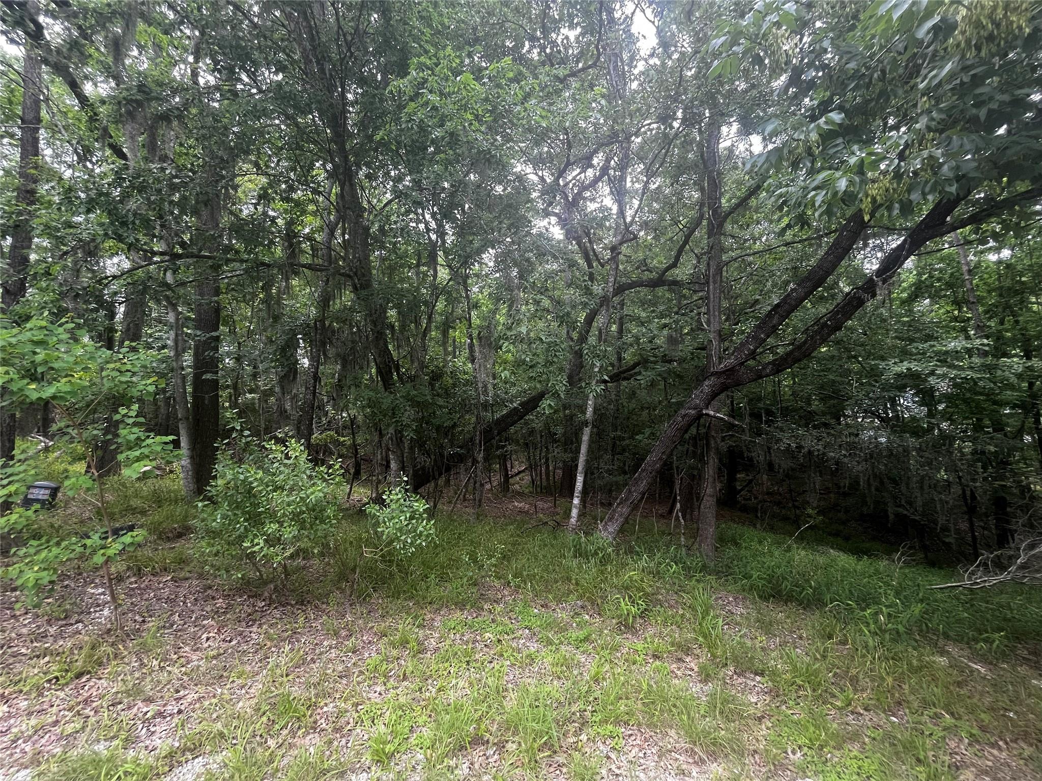 18 Timberon Lane