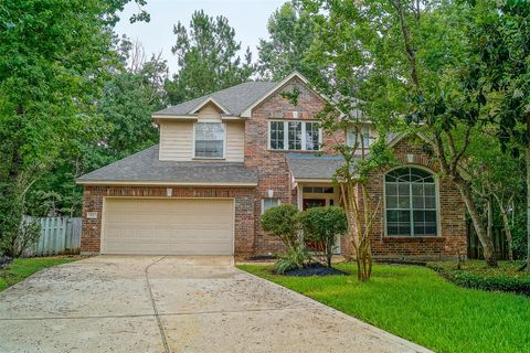 Photo of 11 Cider Mill Court, The Woodlands, TX 77382 (MLS # 22009150)