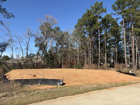 Photo of 1985 La Salle Park Drive, Conroe, TX 77304 (MLS # 79438750)